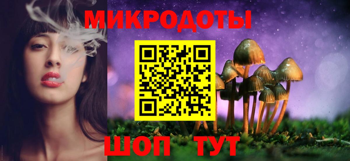 Тихорецк  Псилоцибиновые грибы мицелий  Вход с VPN 